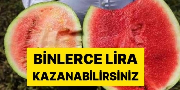 karpuz-kelek-ciktiysa-dikkat-binlerce-lira-kazanabilirsiniz-6cRYHdKA.jpg